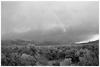 Rainbow and storm over Mono Basin, evening. Mono Lake, California, USA ( black and white)