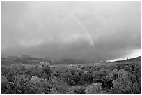 Rainbow and storm over Mono Basin, evening. Mono Lake, California, USA (black and white)