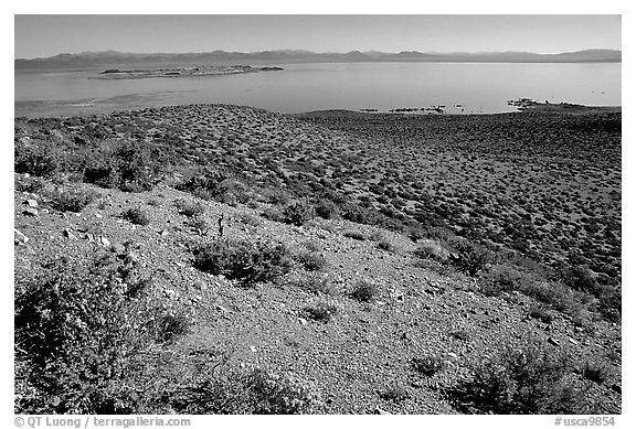 Lake seen from Mono crater. Mono Lake, California, USA (black and white)
