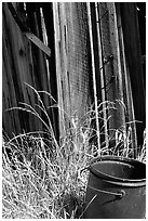 Bucket, grasses, and wall, Ghost Town, Bodie State Park. California, USA (black and white)