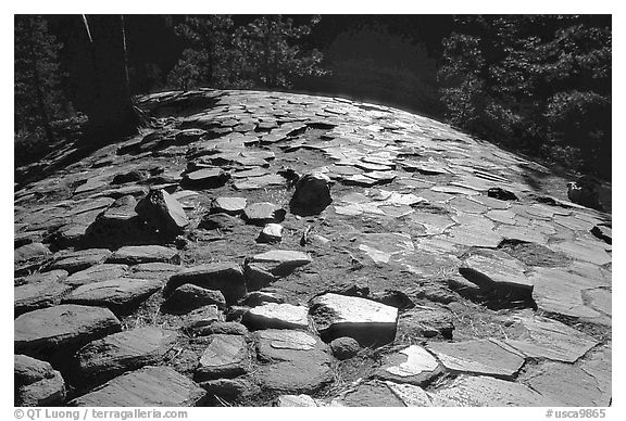 Hexagonal basalt tiles, afternoon, Devils Postpile National Monument. California, USA