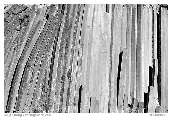 Hexagonal basalt colums, afternoon,  Devils Postpile National Monument. California, USA