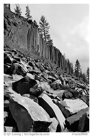 Blocks and columns of basalt, Devils Postpile National Monument. California, USA (black and white)