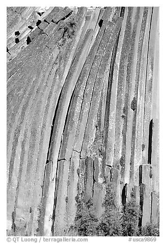 Columns of  basalt, afternoon,  Devils Postpile National Monument. California, USA (black and white)