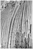 Columns of  basalt, afternoon,  Devils Postpile National Monument. California, USA (black and white)