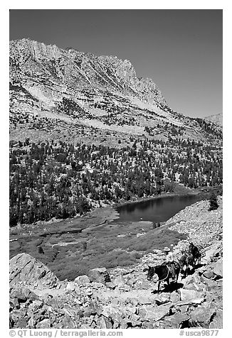 Horseback rider above Long Lake, Inyo National Forest. California, USA (black and white)