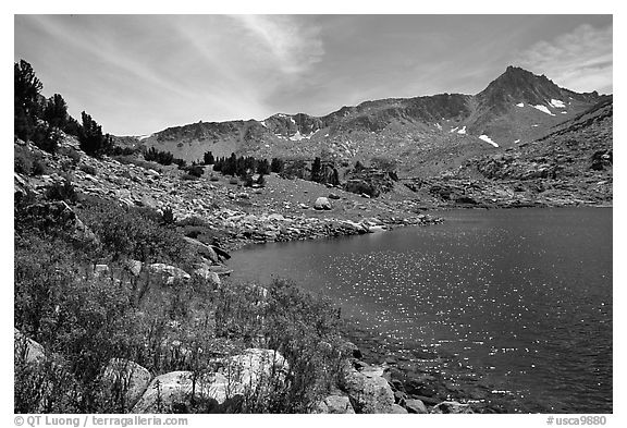 Indian Paintbrush and Saddlebag Lake, Inyo National Forest. California, USA