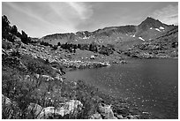 Indian Paintbrush and Saddlebag Lake, Inyo National Forest. California, USA (black and white)