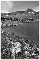 Indian Paintbrush and Saddlebag Lake, Inyo National Forest. California, USA (black and white)