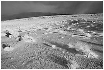 Basin with sage, Inyo Mountains  in stormy weather, late afternoon. California, USA ( black and white)