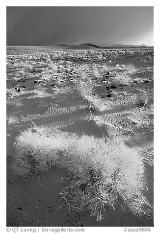 Sage and Inyo Mountains in stormy weather, late afternoon. California, USA (black and white)