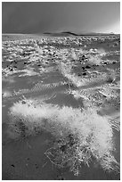 Sage and Inyo Mountains in stormy weather, late afternoon. California, USA ( black and white)