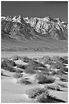 Sierra Nevada Range rising abruptly above Owens Valley. California, USA (black and white)