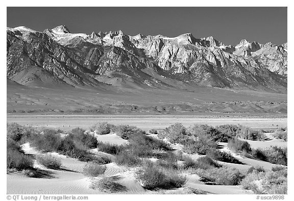 Sierra Nevada mountains rising abruptly above Owens Valley. California, USA (black and white)