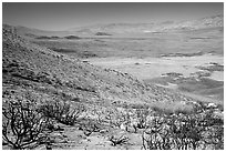 Owens Valley seen from the Sierra Nevada mountains. California, USA (black and white)