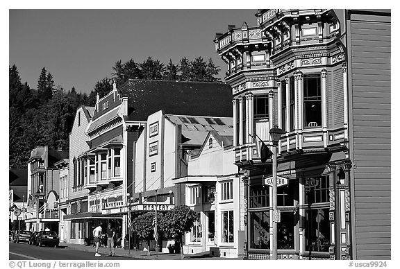 Row of Victorian Houses, Ferndale. California, USA (black and white)