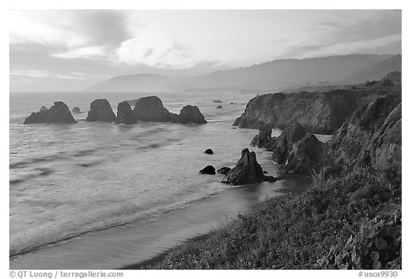 Coast with sea stacks near Rockport. Fort Bragg, California, USA (black and white)