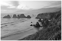 Coast with sea stacks near Rockport. Fort Bragg, California, USA ( black and white)