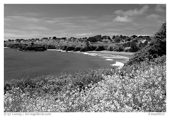 Spring wildflowefrs and Ocean, Mendocino in the background. California, USA