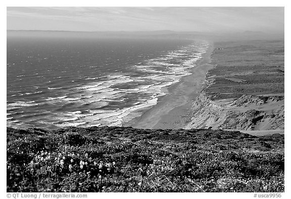 Point Reyes Beach, afternoon. Point Reyes National Seashore, California, USA (black and white)