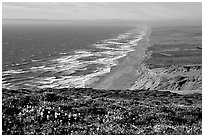 Point Reyes Beach, afternoon. Point Reyes National Seashore, California, USA ( black and white)