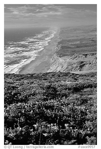 Point Reyes Beach, afternoon. Point Reyes National Seashore, California, USA