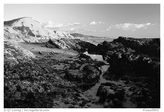 Mussels and Cliffs, Sculptured Beach, sunset. Point Reyes National Seashore, California, USA (black and white)