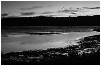 Bolinas Lagoon, sunset. California, USA ( black and white)