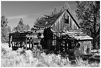 Abandoned wooden cabin. California, USA (black and white)