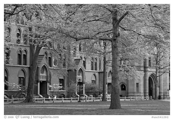 Courtyard and Lawrance Hall, Old Campus. Yale University, New Haven, Connecticut, USA