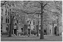 Courtyard and Lawrance Hall, Old Campus. Yale University, New Haven, Connecticut, USA ( black and white)