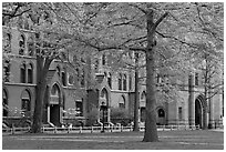 Courtyard and Lawrance Hall, Old Campus. Yale University, New Haven, Connecticut, USA (black and white)