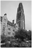 Harkness Tower. Yale University, New Haven, Connecticut, USA (black and white)