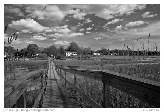 Deck, tall grasses, and river, Old Saybrook. Connecticut, USA (black and white)