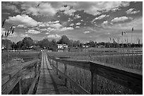 Deck, tall grasses, and river, Old Saybrook. Connecticut, USA ( black and white)