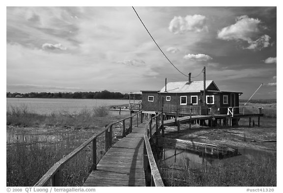 Deck and old stilt house, South Cove, Old Saybrook. Connecticut, USA (black and white)