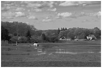 Oyster River estuary, Old Saybrook. Connecticut, USA ( black and white)