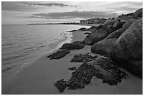 Rocks and beachfront houses, Westbrook. Connecticut, USA ( black and white)