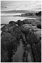 Algae-covered rocks and beach houses, Westbrook. Connecticut, USA (black and white)