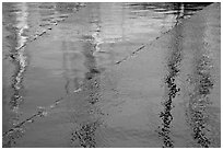 Masts reflected in water. Mystic, Connecticut, USA (black and white)