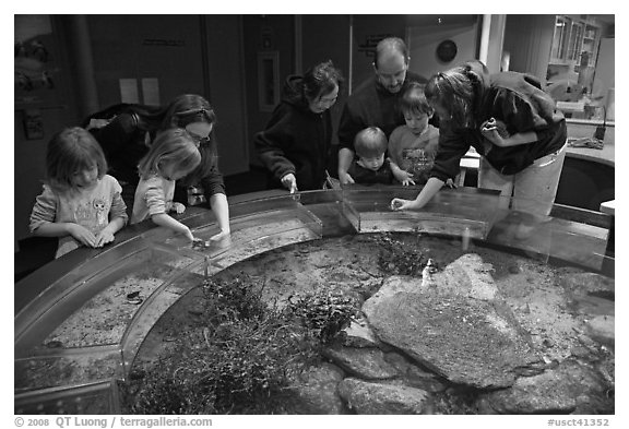 Touch pool exhibit, Mystic aquarium. Mystic, Connecticut, USA