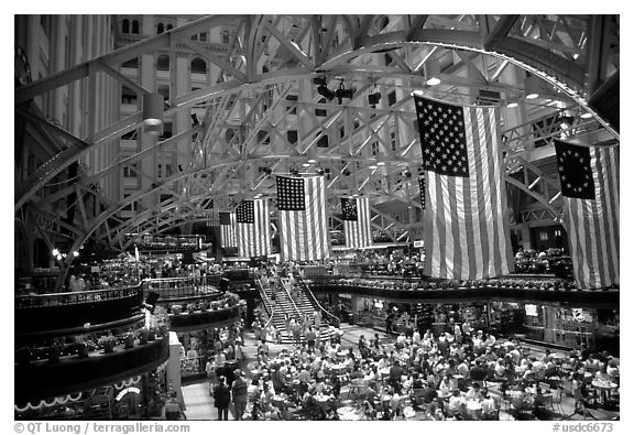 Historic hall with American flags. Washington DC, USA (black and white)