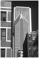 Buildings in downtown. Chicago, Illinois, USA ( black and white)