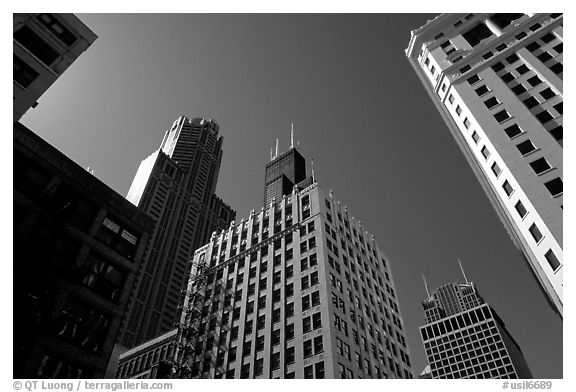 Sears tower framed by other skyscrappers. Chicago, Illinois, USA