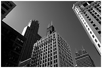 Sears tower framed by other skyscrappers. Chicago, Illinois, USA (black and white)