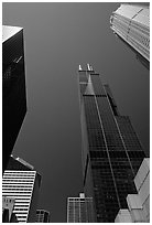 Upwards views of Sears tower and  skyscrappers. Chicago, Illinois, USA (black and white)