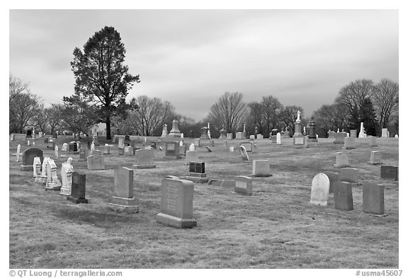 Lawn cemetery. Salem, Massachussets, USA (black and white)