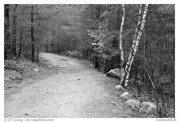 Battle Road Trai in winter, Minute Man National Historical Park. Massachussets, USA