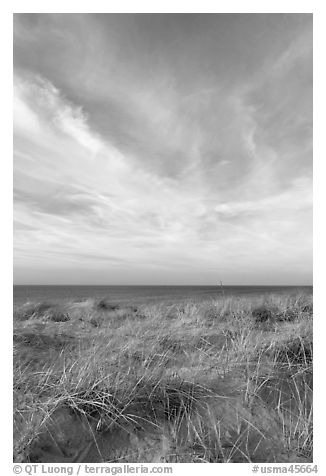 Dunegrass and clouds, Race Point Beach, Cape Cod National Seashore. Cape Cod, Massachussets, USA