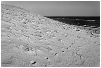 Sand dune and ocean, early morning, Coast Guard Beach, Cape Cod National Seashore. Cape Cod, Massachussets, USA ( black and white)